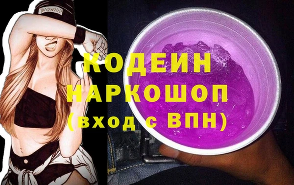 гашик Дмитров