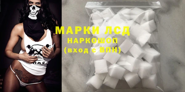 гашик Дмитров