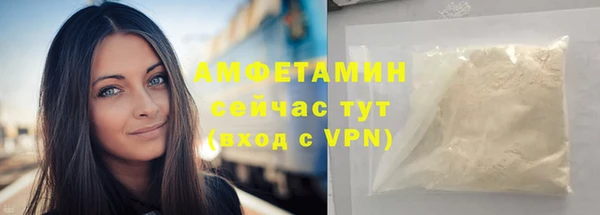 гашик Дмитров