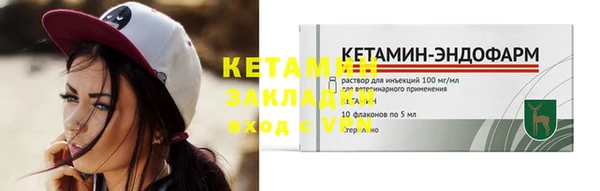 гашик Дмитров