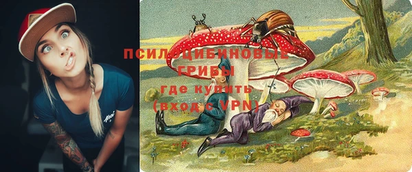 не бодяженный Дмитровск