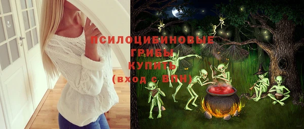 гашик Дмитров