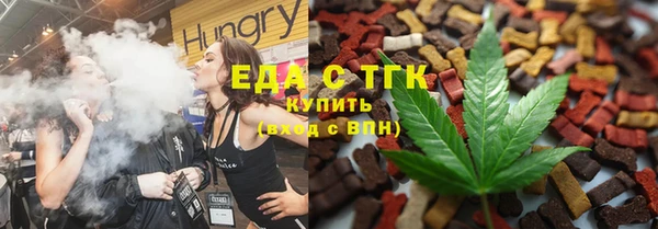 гашик Дмитров