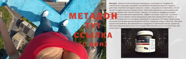 гашик Дмитров