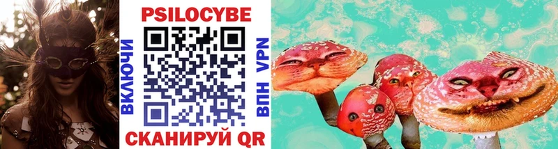 Купить  Отрадное  Псилоцибиновые грибы мицелий 